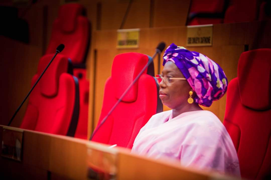 Senator Adebule Champions National Summit to Combat Out-of-School Children Crisis Senator Adebule Champions National Summit to Combat Out-of-School Children Crisis